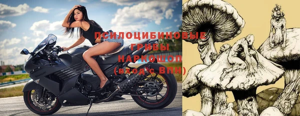 индика Алексеевка