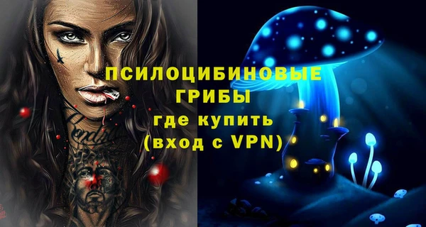 индика Алексеевка
