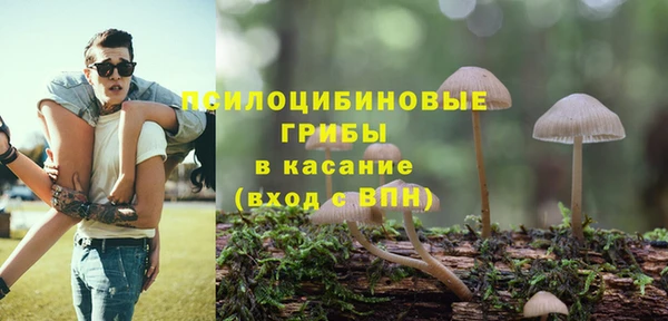тгк Алексин