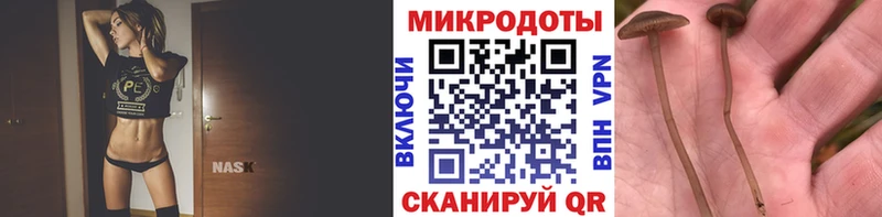 Купить где  Воркута  Псилоцибиновые грибы прущие грибы 